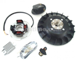 Encendido PINASCO FLYTECH cono 20 para vespa px todas las series, volante de 0,9 kg