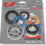 Kit bearings and oil seals for overhauling crankshaft Vespa 160GS, 180SS