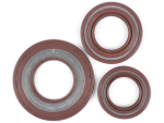 Kit paraolio BGM PRO Vespa 200 RALLY FEMSATRONIC
