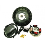 Encendido pinasco FLYTECH TOURING cono 20 1,4Kg ,Encendido específico para motores de 251cc y motores T5 evolution.