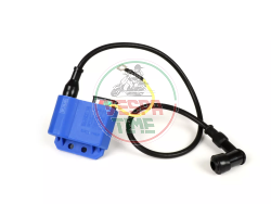 CDI BGM PRO centralita con bobina integrada y cable de bujía para Vespa PX ET3 T5 PK XL Rally 200 Lambretta Ducati