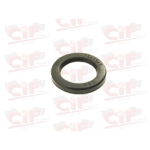 Simmerring 13x19x3 ISM FÜR KUPPLUNGSGLOCKE VARIATOR CIAO-SI
